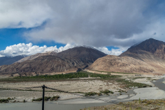 Ladakh-Nubra-D11-128