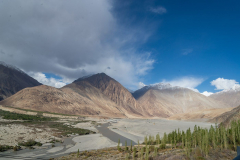 Ladakh-Nubra-D11-131