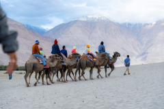 Ladakh-Nubra-D11-164