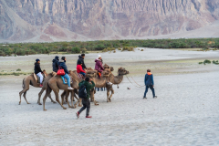 Ladakh-Nubra-D11-217