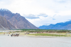 Ladakh-Nubra-D11-221