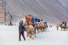 Ladakh-Nubra-D11-226