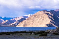 Ladakh-Pangong-D13-199