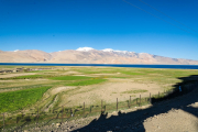 Ladakh-Tso-Moriri-D16-107