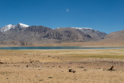 Ladakh-Tso-Moriri-D16-32