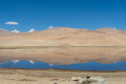 Ladakh-Tso-Moriri-D16-87